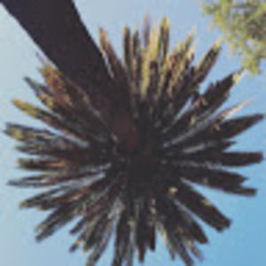 Meet your Posher, Hi